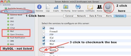 Enable MySQL